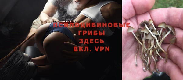 не бодяженный Рославль