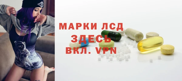 индика Семилуки