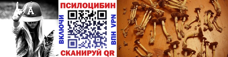 Псилоцибиновые грибы прущие грибы  Новоаннинский 